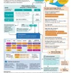 Λευκωματουρία, πότε και πώς ελέγχω #UACR;