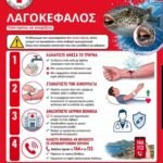Οδηγίες αντιμετώπισης επίθεσης από λαγοκέφαλο